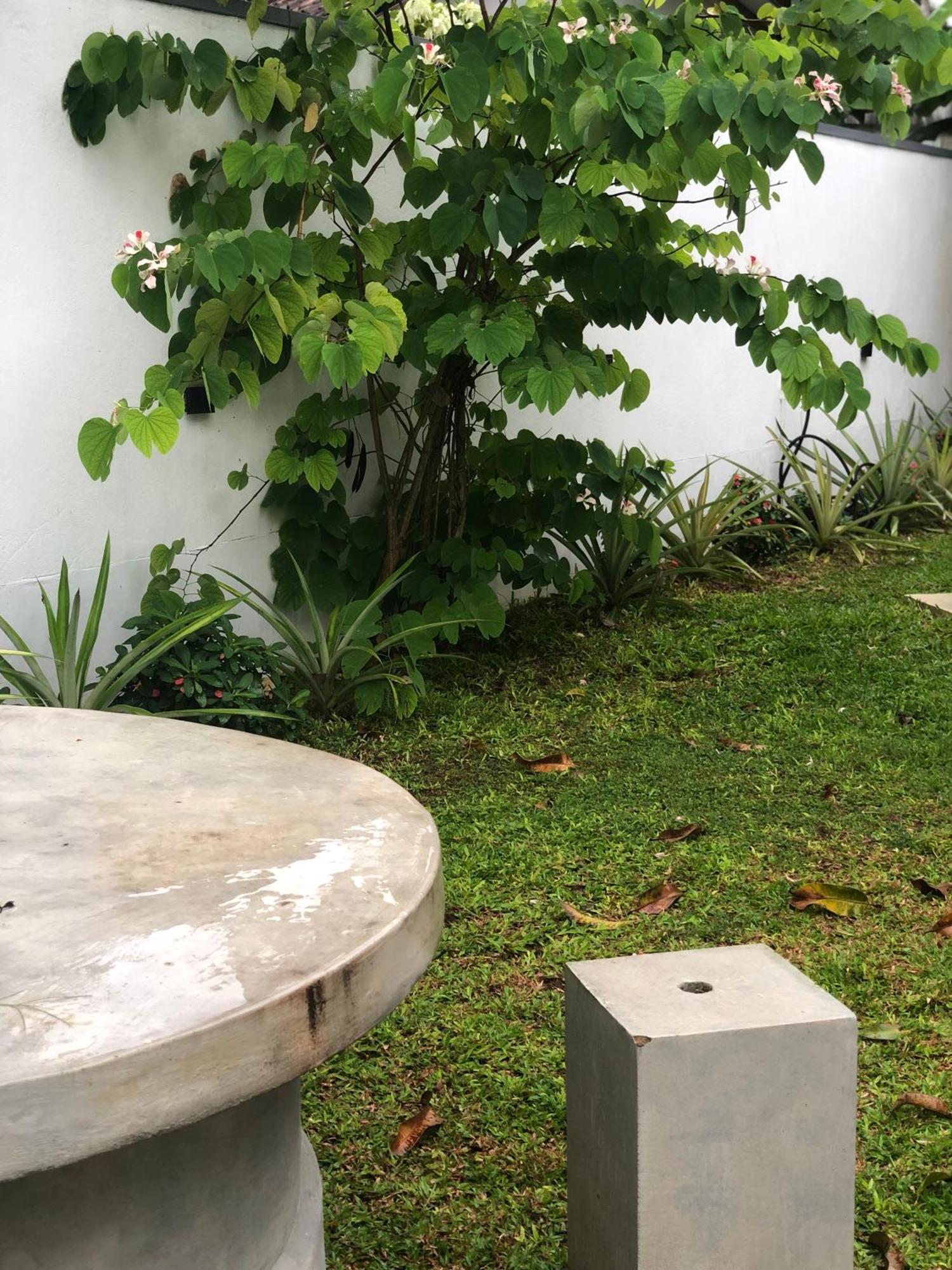 Luvi'S Villa Galle Εξωτερικό φωτογραφία