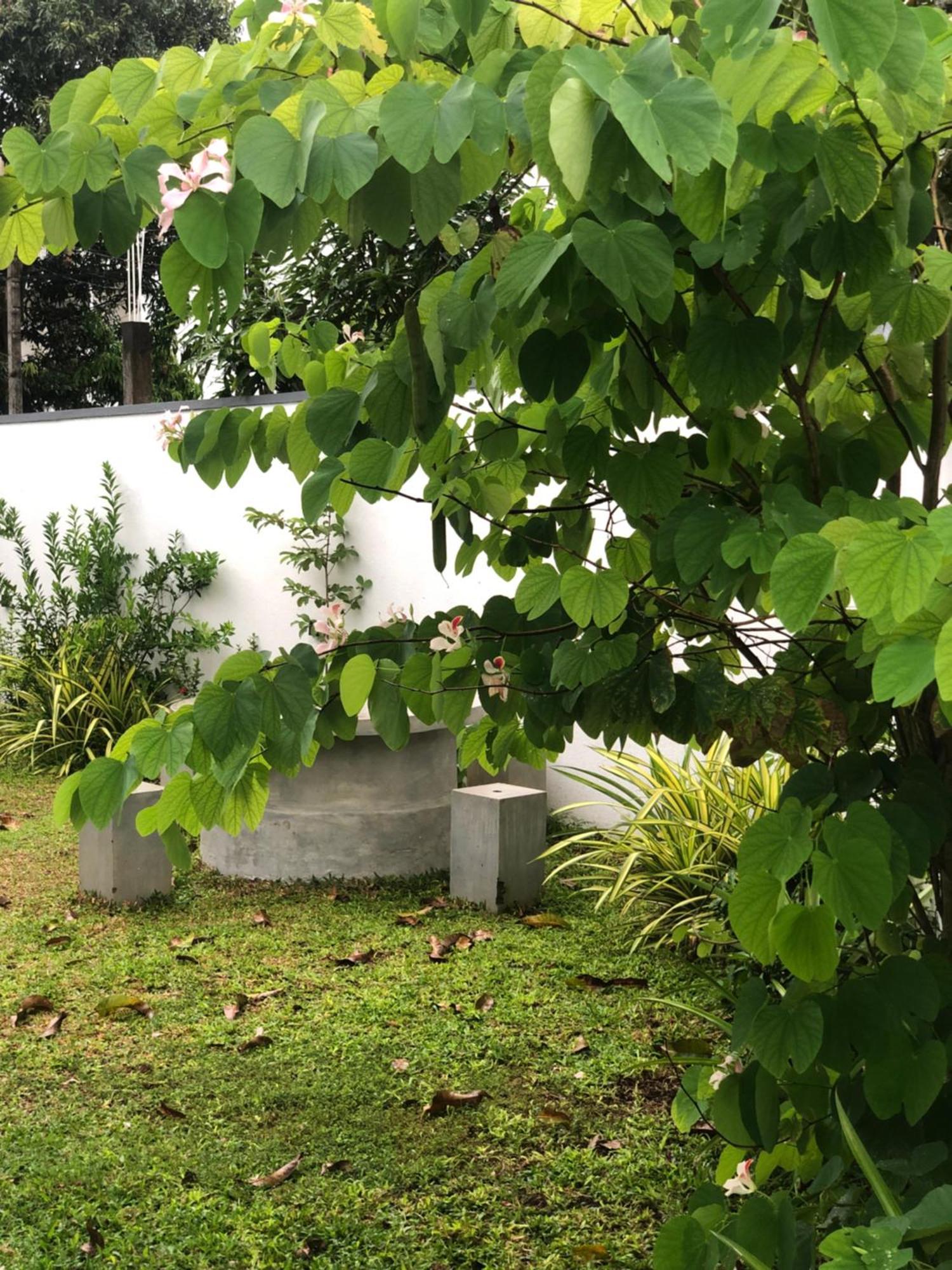 Luvi'S Villa Galle Εξωτερικό φωτογραφία